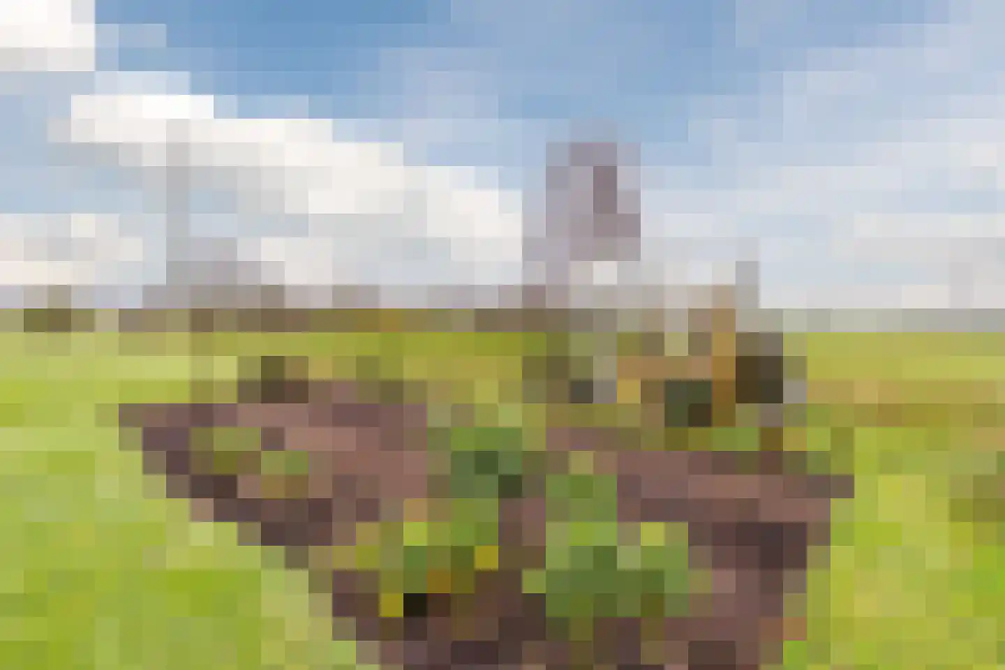 Balkerweg 66 Witharen thumbnail 41