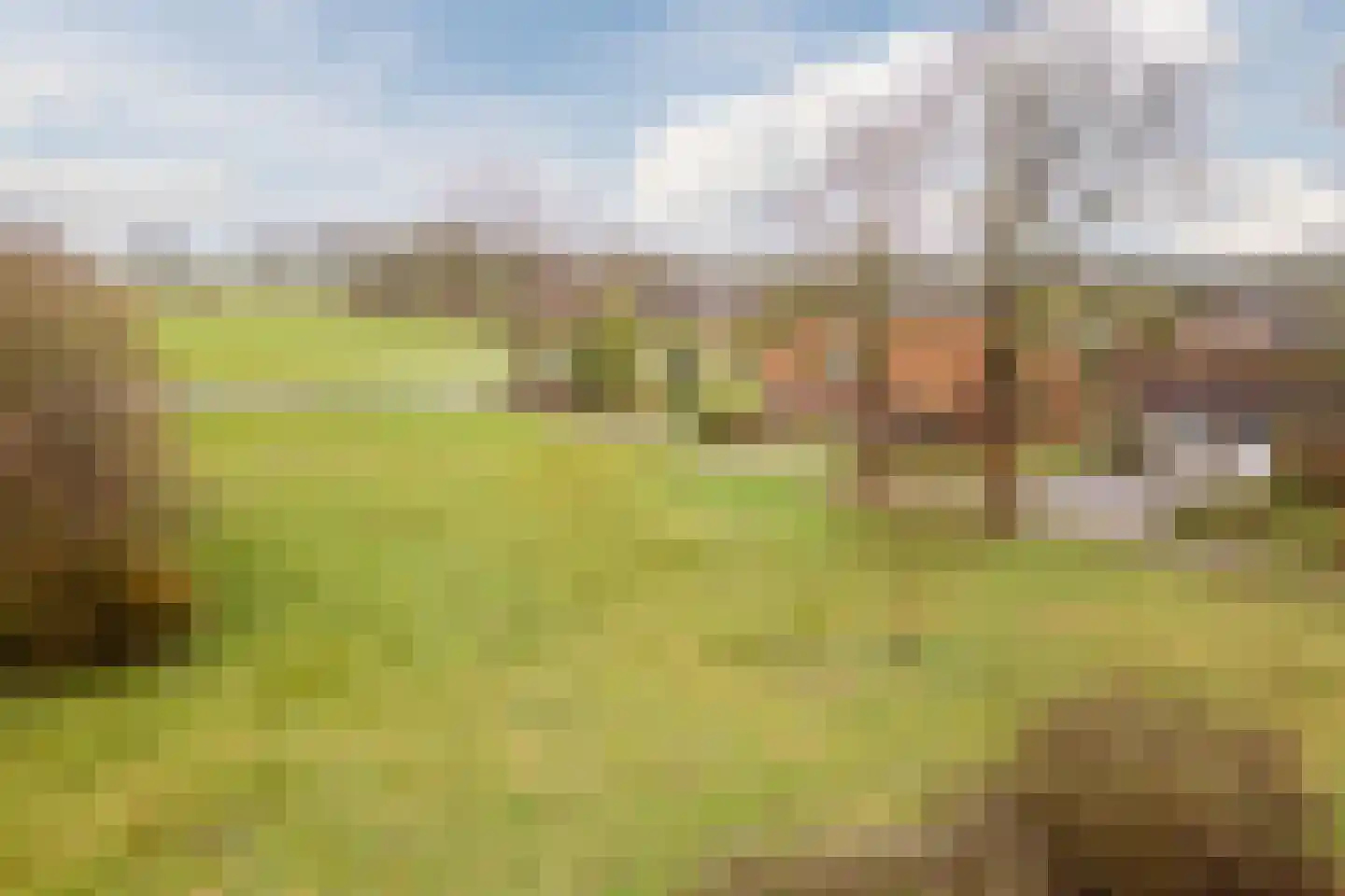 Balkerweg 66 Witharen thumbnail 44