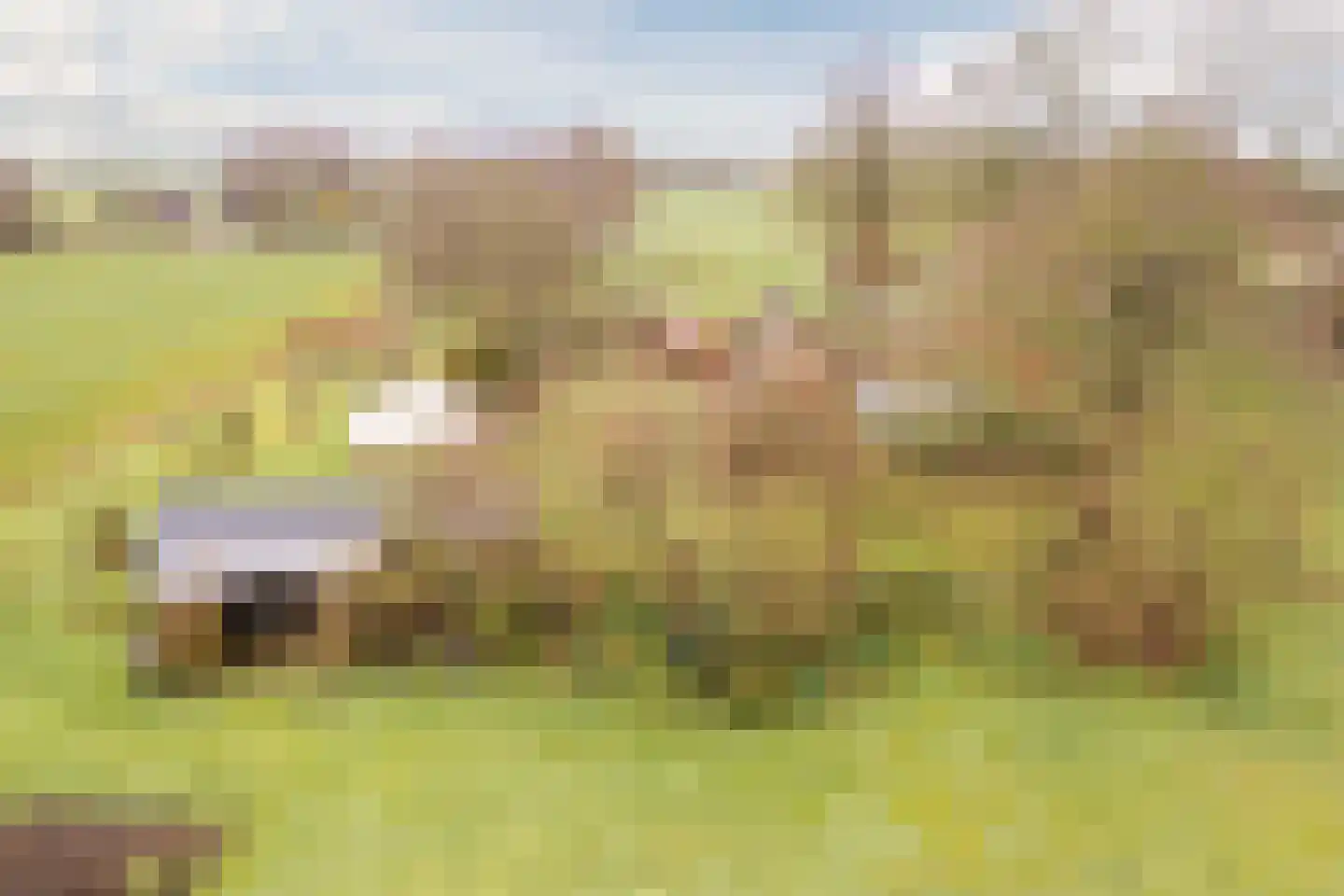 Balkerweg 66 Witharen thumbnail 49