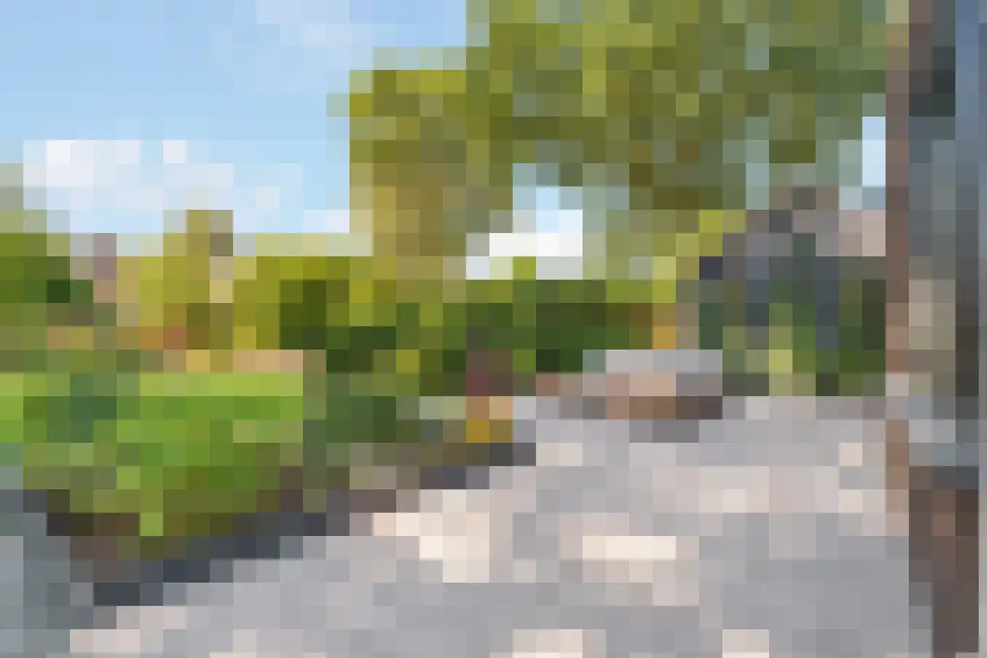 Balkerweg 7 Ommen thumbnail 36