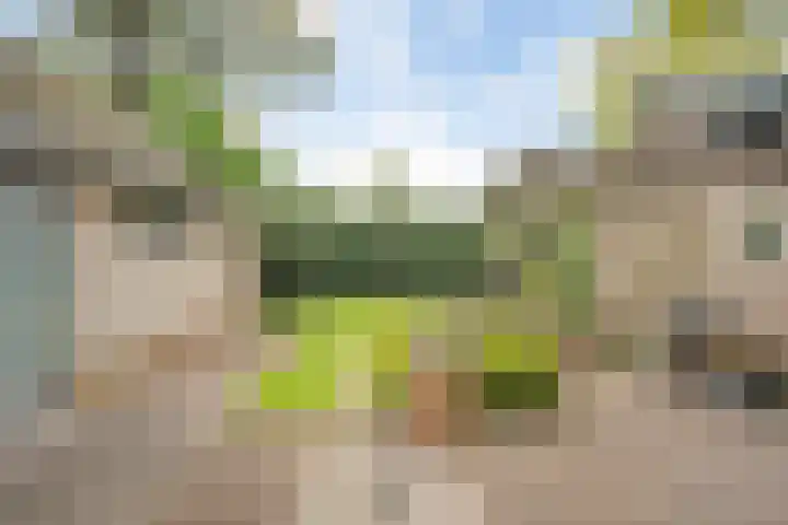 Balkerweg 7 Ommen thumbnail 4