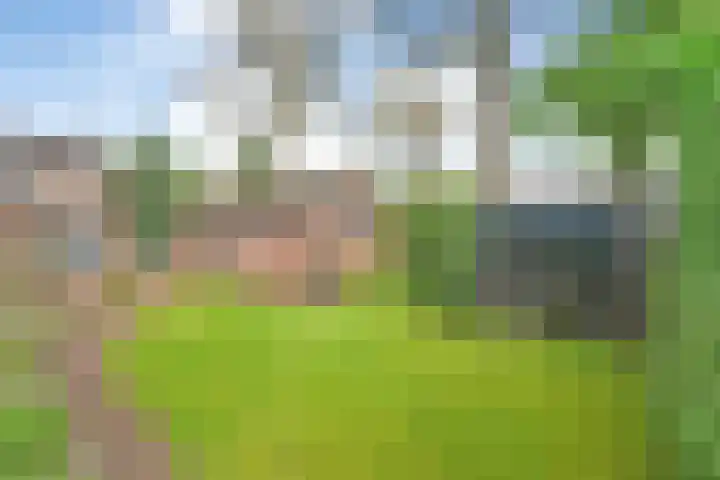 Balkerweg 7 Ommen thumbnail 5