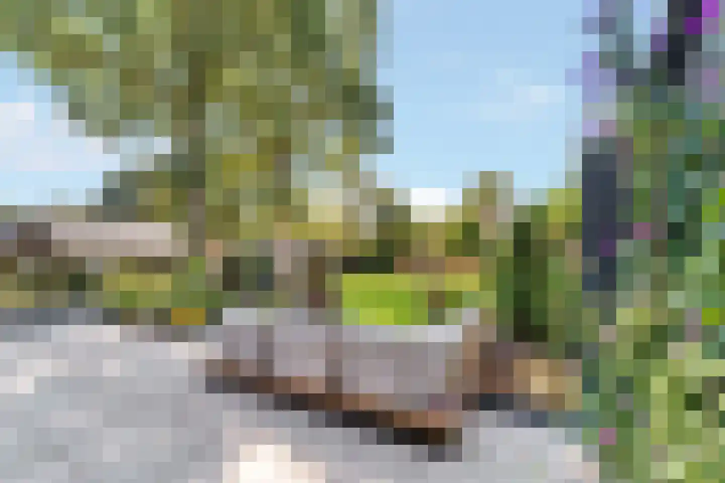 Balkerweg 7 Ommen thumbnail 6