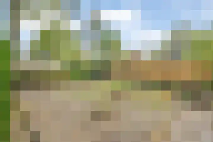Balkerweg 7 Ommen thumbnail 8