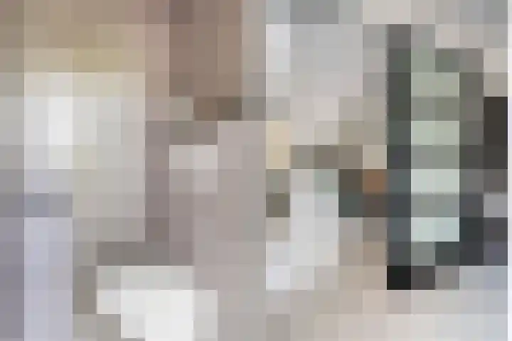 Balksterveste 5 Nieuwegein thumbnail 10