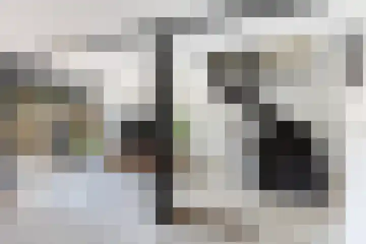 Balksterveste 5 Nieuwegein thumbnail 13