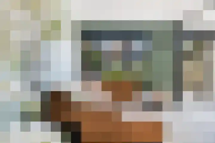 Balksterveste 5 Nieuwegein thumbnail 15