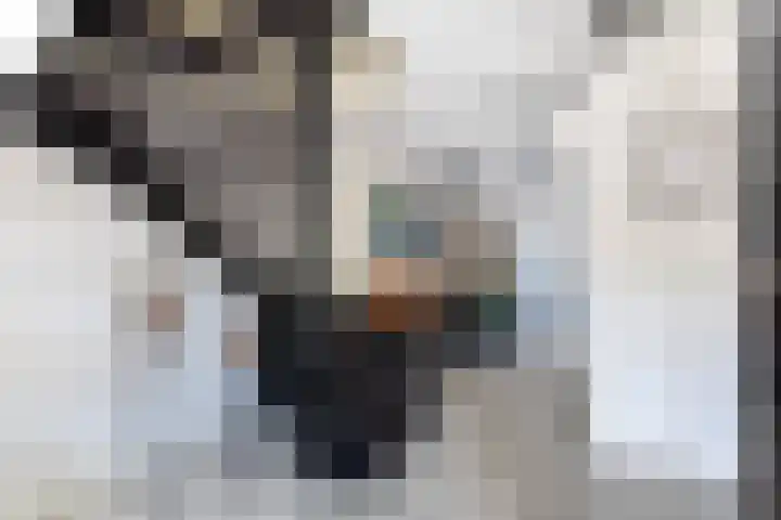 Balksterveste 5 Nieuwegein thumbnail 22