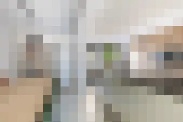 Balksterveste 5 Nieuwegein thumbnail 24