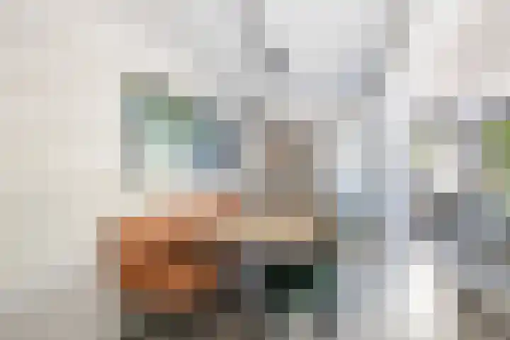 Balksterveste 5 Nieuwegein thumbnail 25