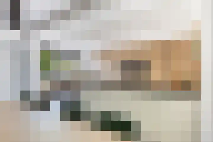 Balksterveste 5 Nieuwegein thumbnail 31