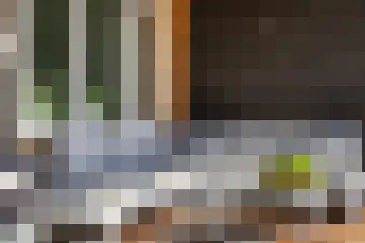 Balksterveste 5 Nieuwegein thumbnail 32
