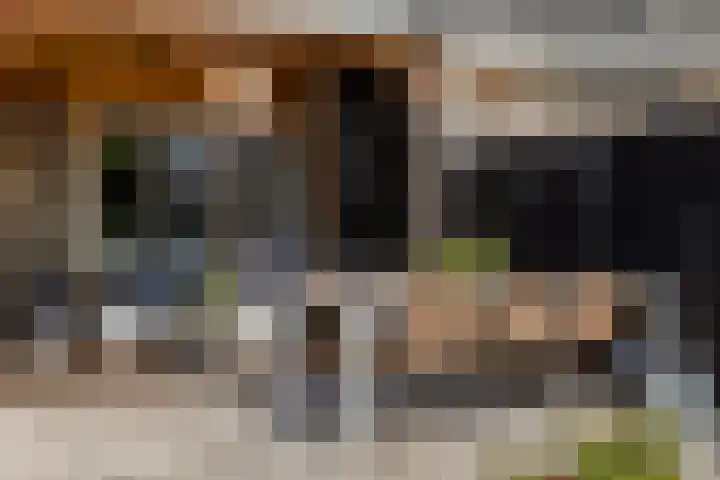 Balksterveste 5 Nieuwegein thumbnail 33