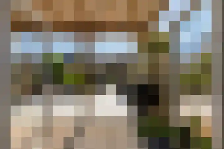 Balksterveste 5 Nieuwegein thumbnail 34