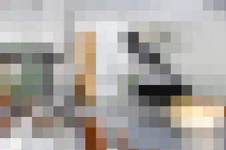 Balksterveste 5 Nieuwegein thumbnail 41