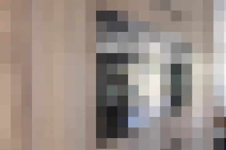 Balksterveste 5 Nieuwegein thumbnail 42
