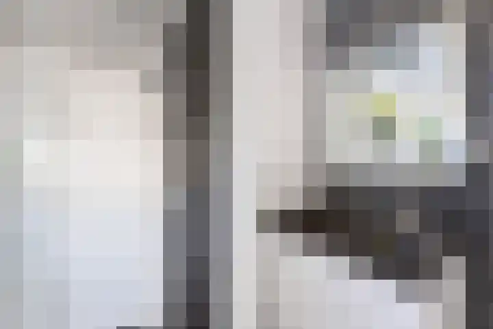 Balksterveste 5 Nieuwegein thumbnail 53