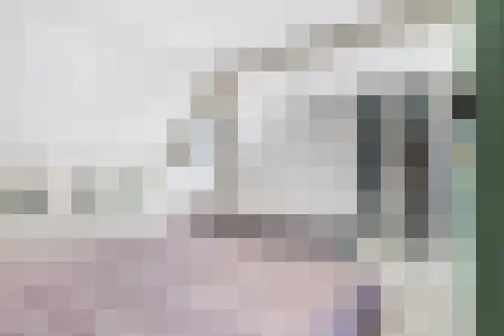 Balksterveste 5 Nieuwegein thumbnail 59