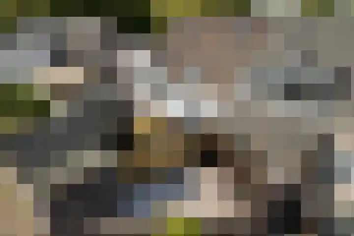 Balksterveste 5 Nieuwegein thumbnail 65