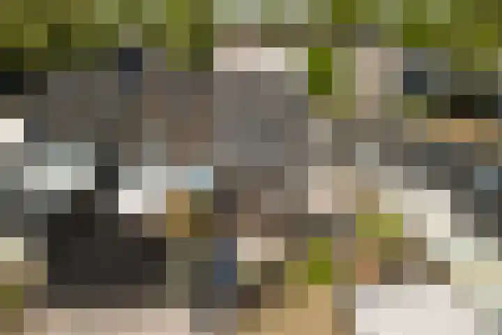 Balksterveste 5 Nieuwegein thumbnail 66