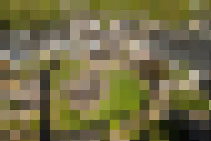 Balksterveste 5 Nieuwegein thumbnail 67