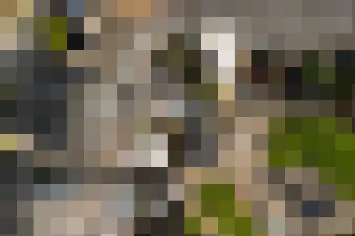 Balksterveste 5 Nieuwegein thumbnail 68