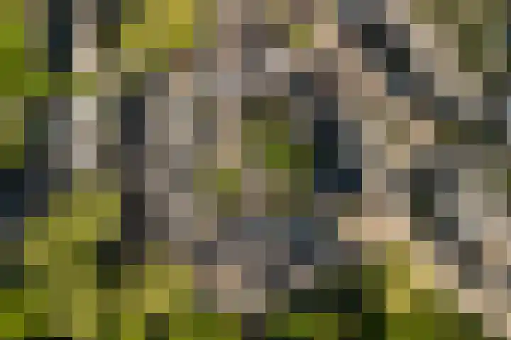 Balksterveste 5 Nieuwegein thumbnail 69