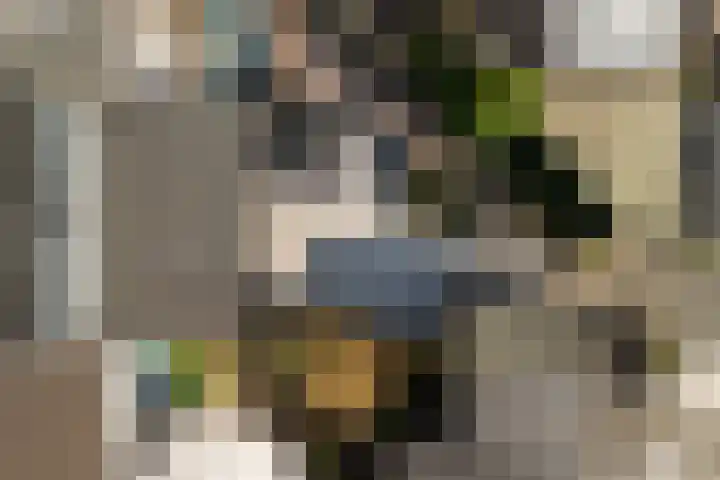 Balksterveste 5 Nieuwegein thumbnail 70