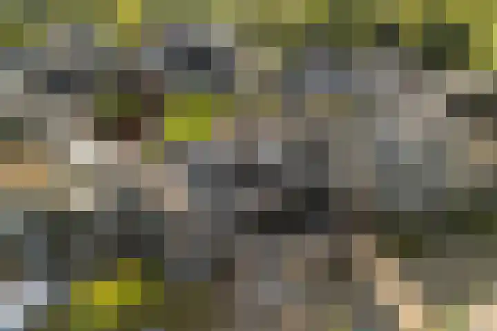 Balksterveste 5 Nieuwegein thumbnail 71