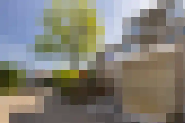 Balksterveste 5 Nieuwegein thumbnail 8