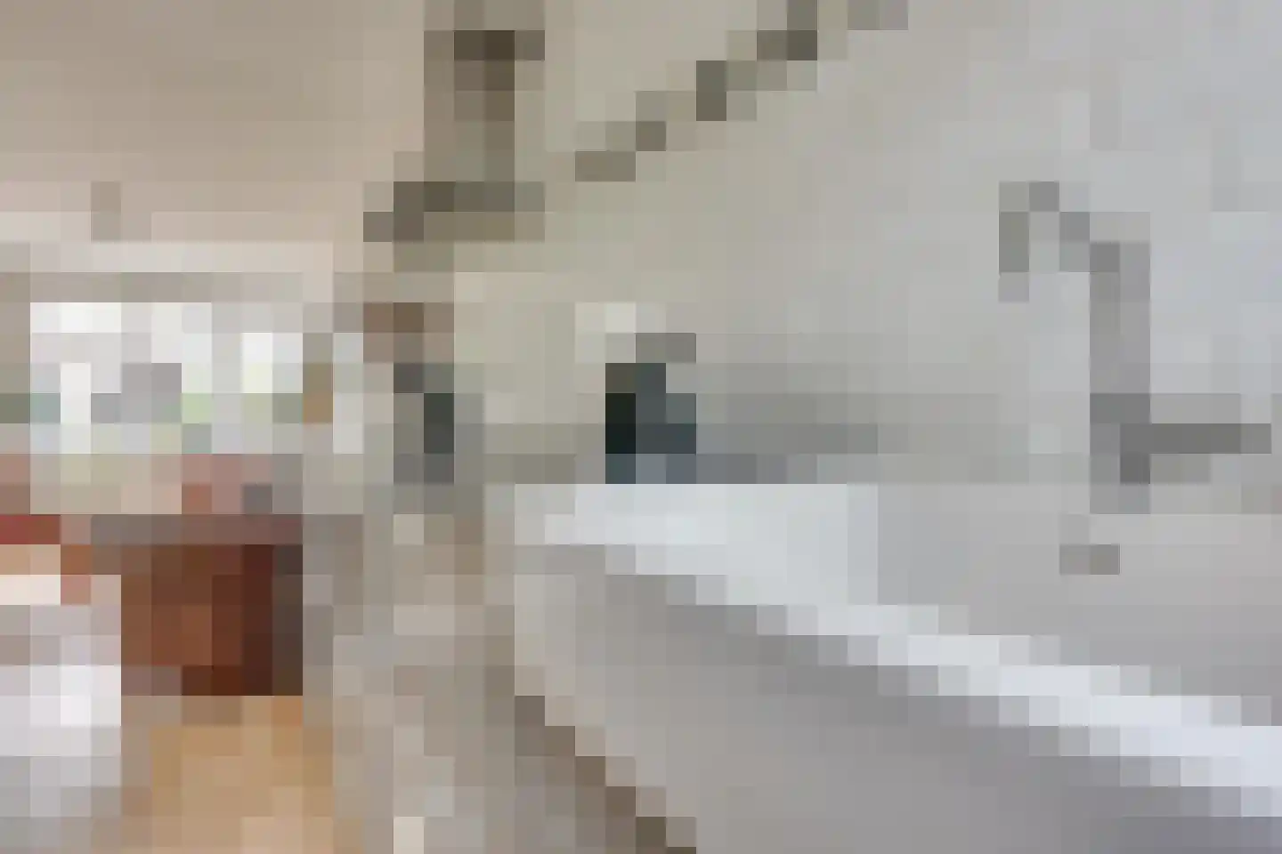 Balksterveste 7 Nieuwegein thumbnail 21