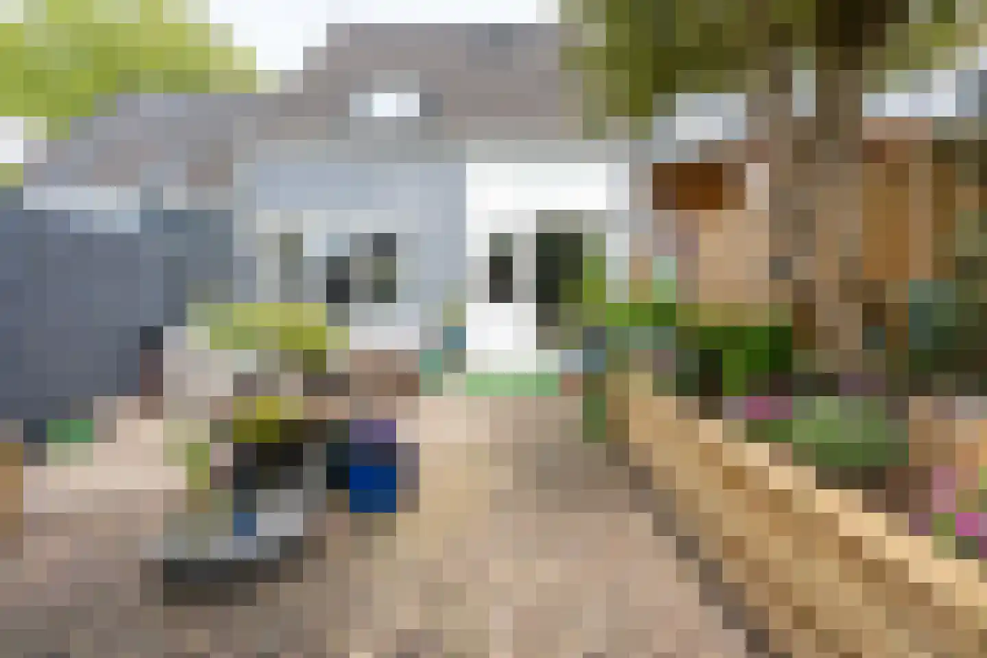 Balksterveste 7 Nieuwegein thumbnail 53