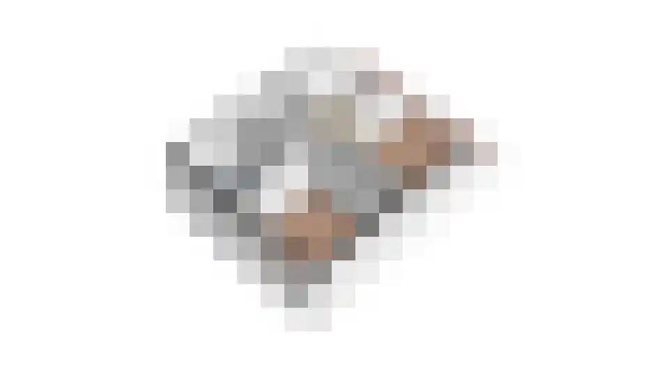Balksterveste 7 Nieuwegein thumbnail 66