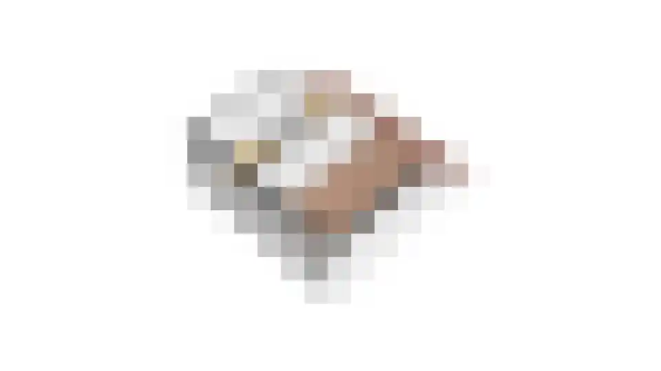 Balksterveste 7 Nieuwegein thumbnail 69