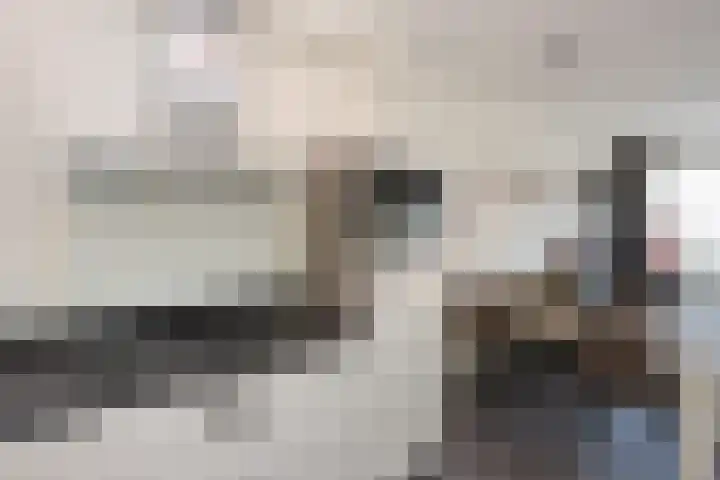 Balkstraat 11 Kampen thumbnail 14
