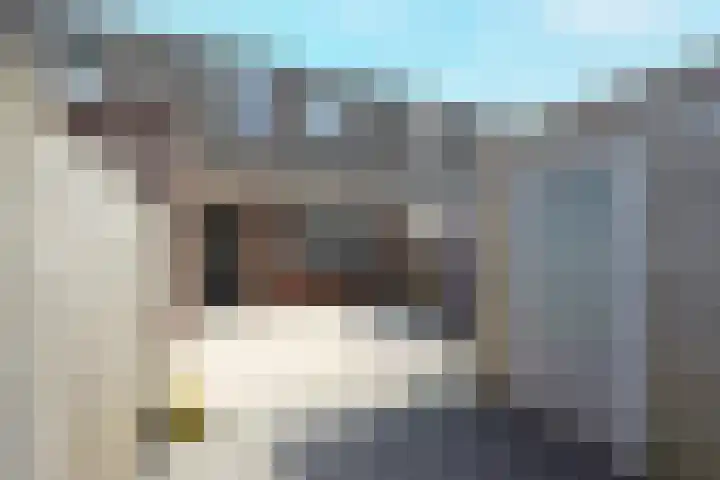 Balkstraat 11 Kampen thumbnail 4