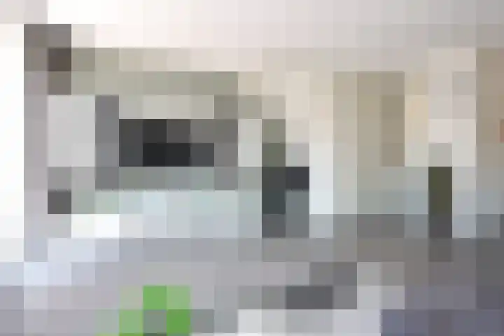 Balkstraat 11 Kampen thumbnail 9
