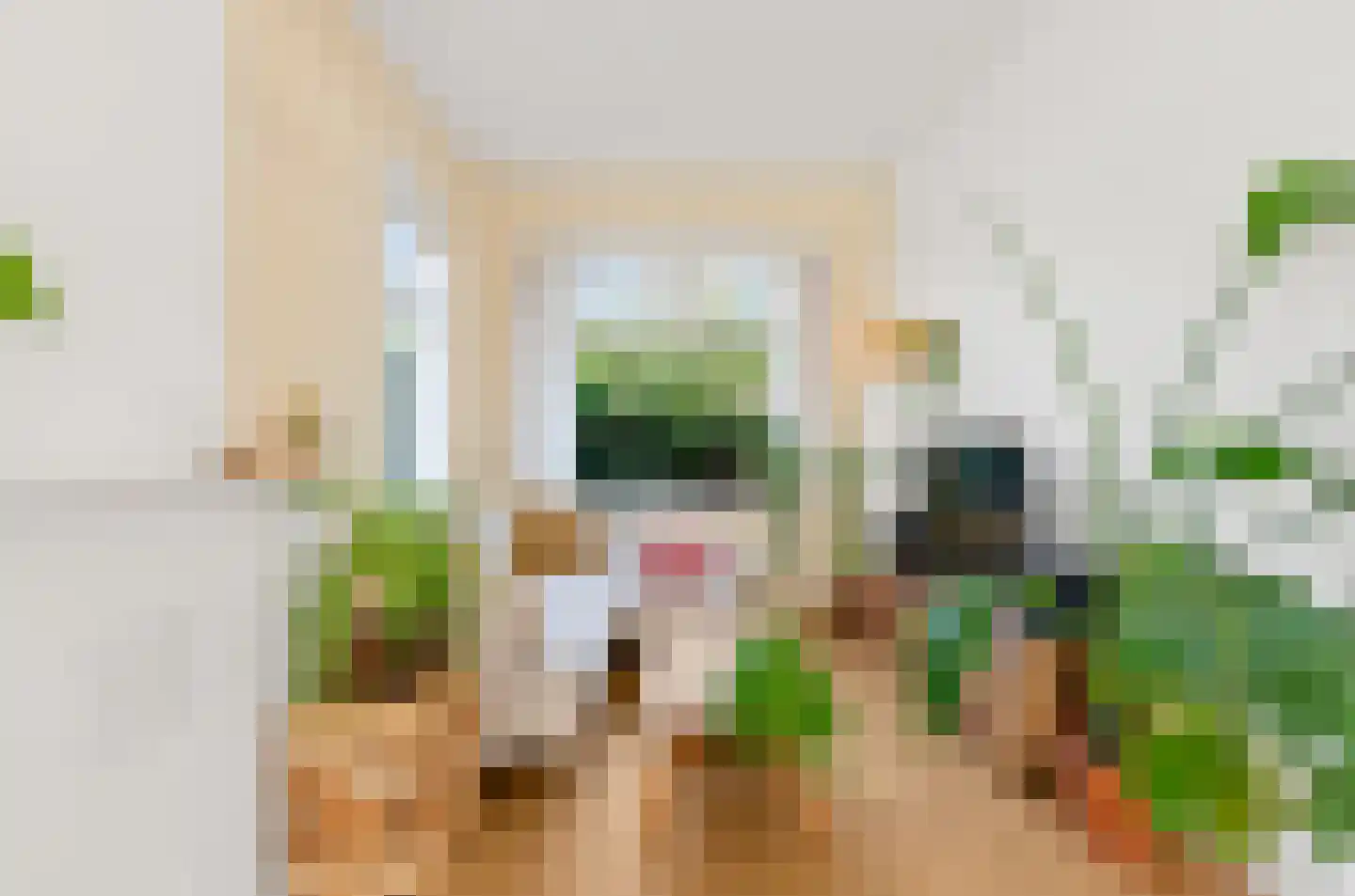 Balkstraat 34 Utrecht thumbnail 7