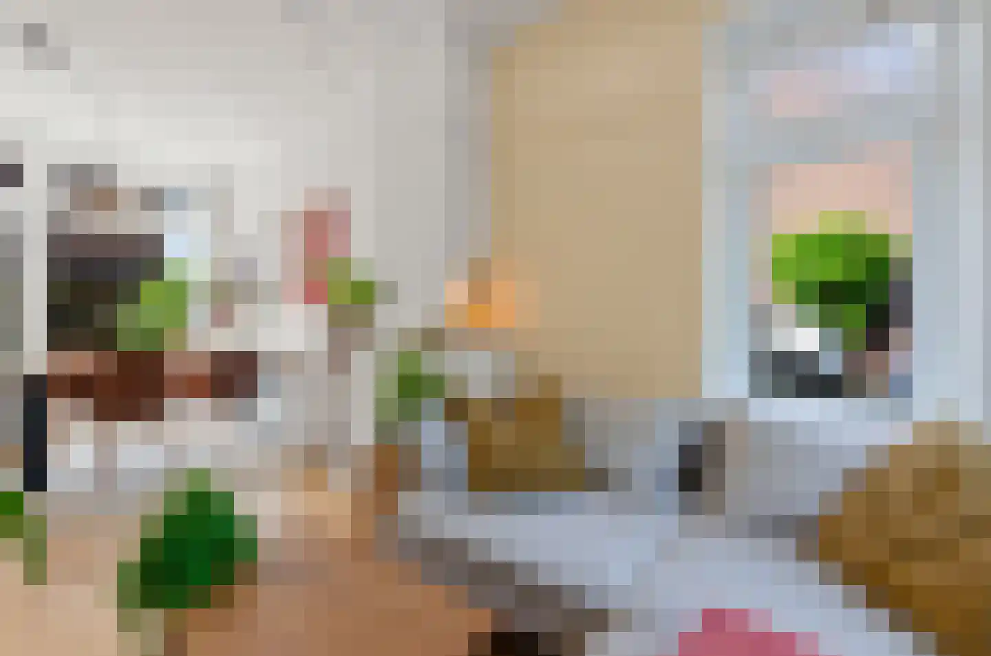 Balkstraat 34 Utrecht thumbnail 9