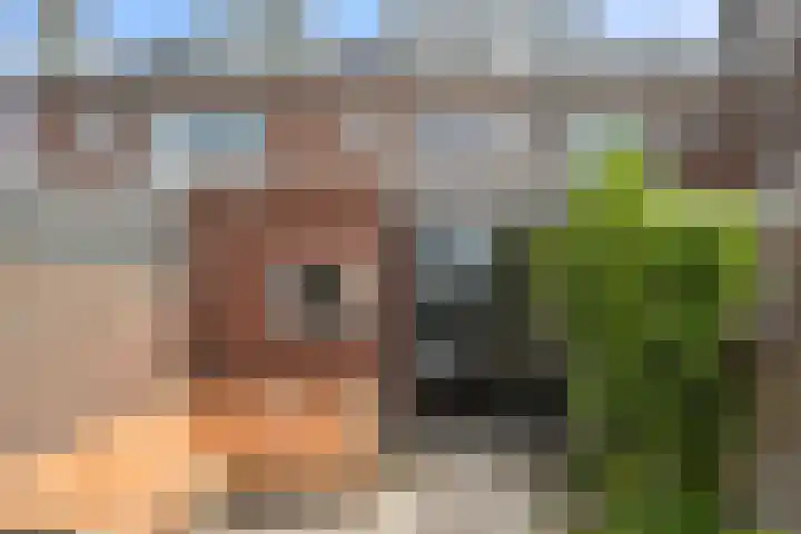 Balkstraat 8 Utrecht thumbnail 30
