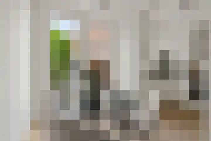 Balkstraat 8 Utrecht thumbnail 9