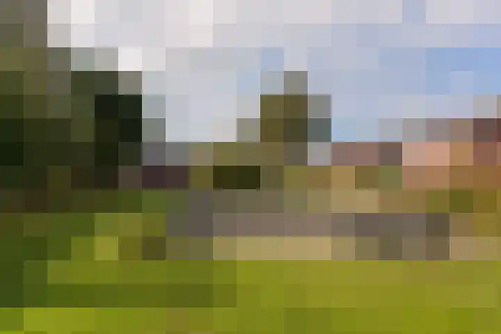 Balkweiterhoek 37 Zwaagdijk-West thumbnail 30