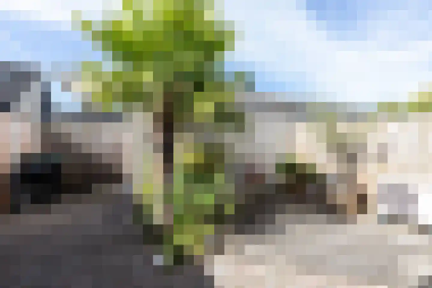 Ballade 107 Zwijndrecht thumbnail 22