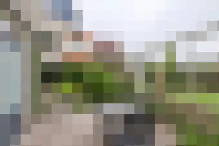 Ballade 48 Zwijndrecht thumbnail 35
