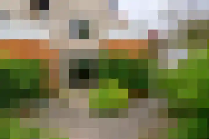 Ballade 48 Zwijndrecht thumbnail 37