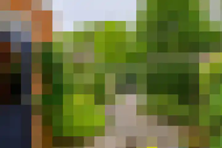 Ballade 48 Zwijndrecht thumbnail 39