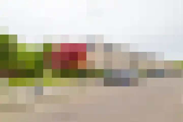 Ballade 48 Zwijndrecht thumbnail 4