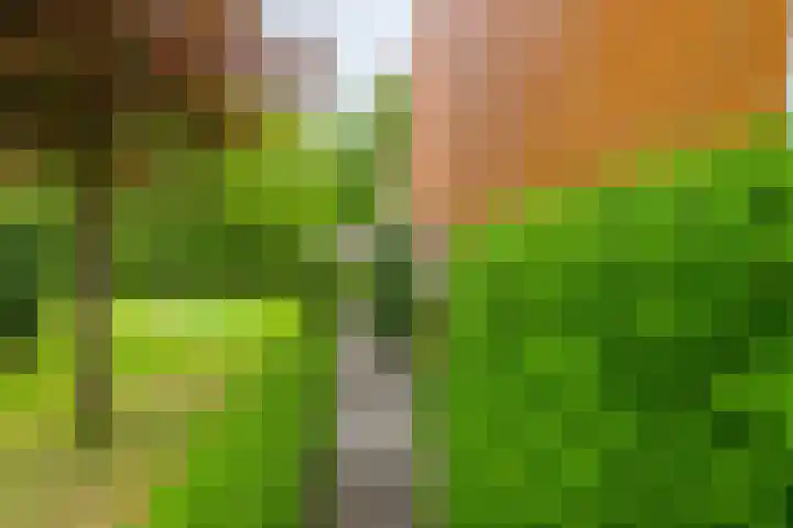 Ballade 48 Zwijndrecht thumbnail 7