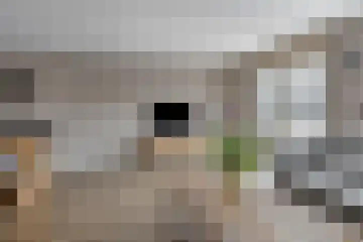 Ballade 67 Zwijndrecht thumbnail 16