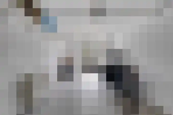 Ballade 67 Zwijndrecht thumbnail 34